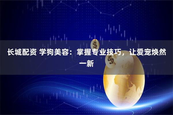 长城配资 学狗美容：掌握专业技巧，让爱宠焕然一新