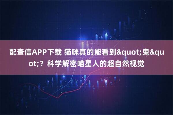 配查信APP下载 猫咪真的能看到"鬼"？科学解密喵星人的超自然视觉